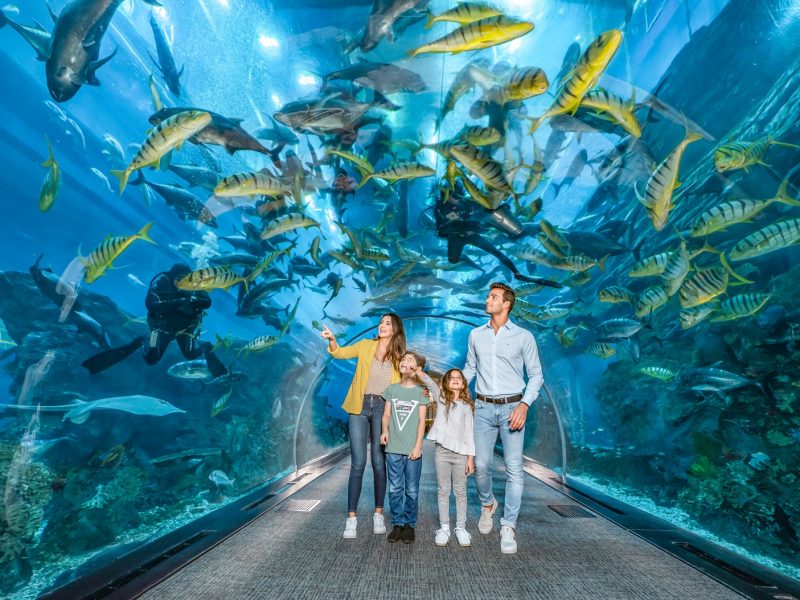 sea life Aquarium-Dubai-800x600