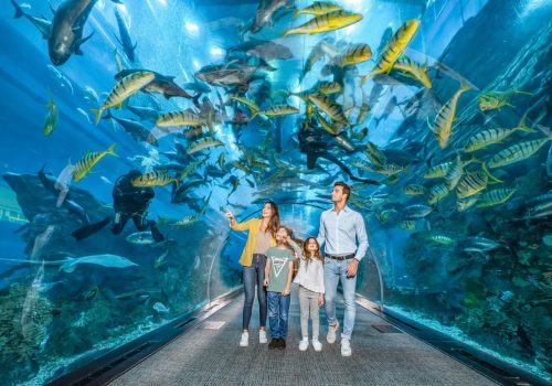 Aquarium Dubai